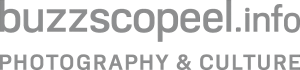 buzzscopeel.info