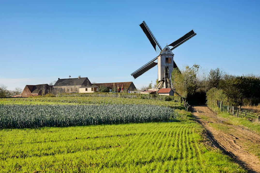 Danish countryside farmland with a traditional windmill
