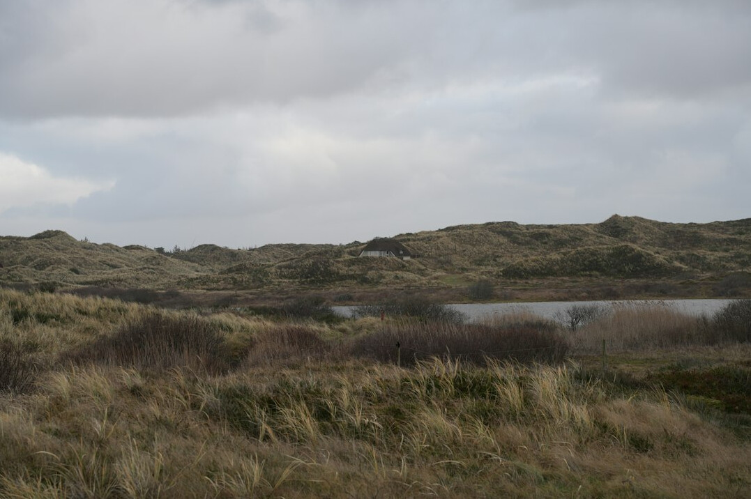scenic danish fjord